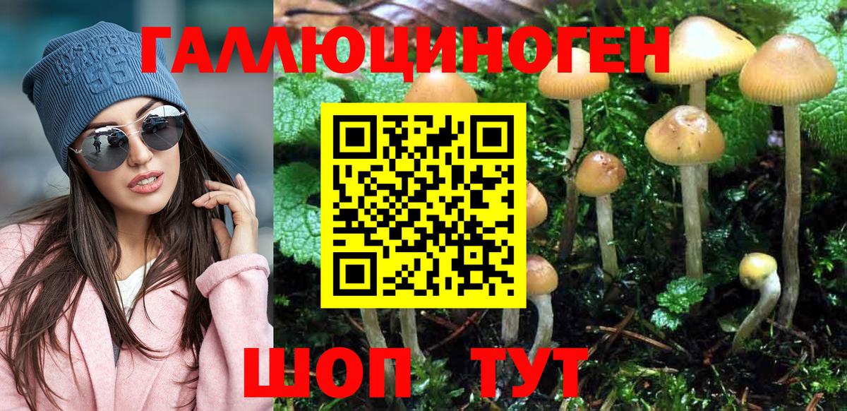 Псилоцибиновые грибы MAGIC MUSHROOMS  Вход с VPN  Чистополь 